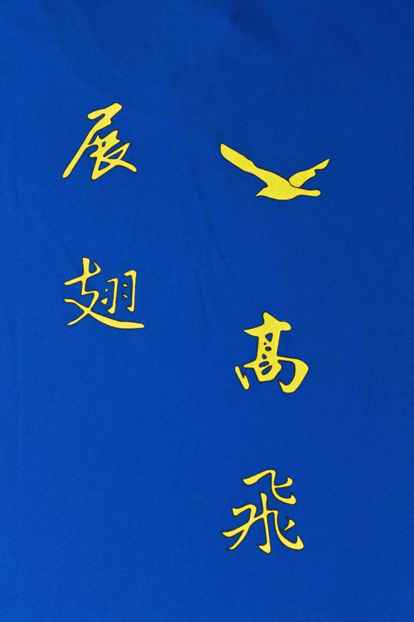 客製化T恤-展翅高飛 客製T恤的第2張圖(客製化公司制服、班服製作、團體服製作等示意或作品圖)