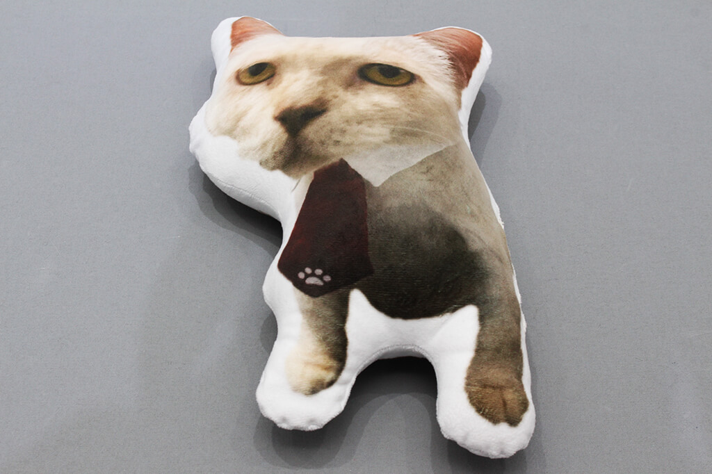 客製化造型抱枕:貓咪造型抱枕的第1張圖(客製化公司制服、班服製作、團體服製作等示意或作品圖)