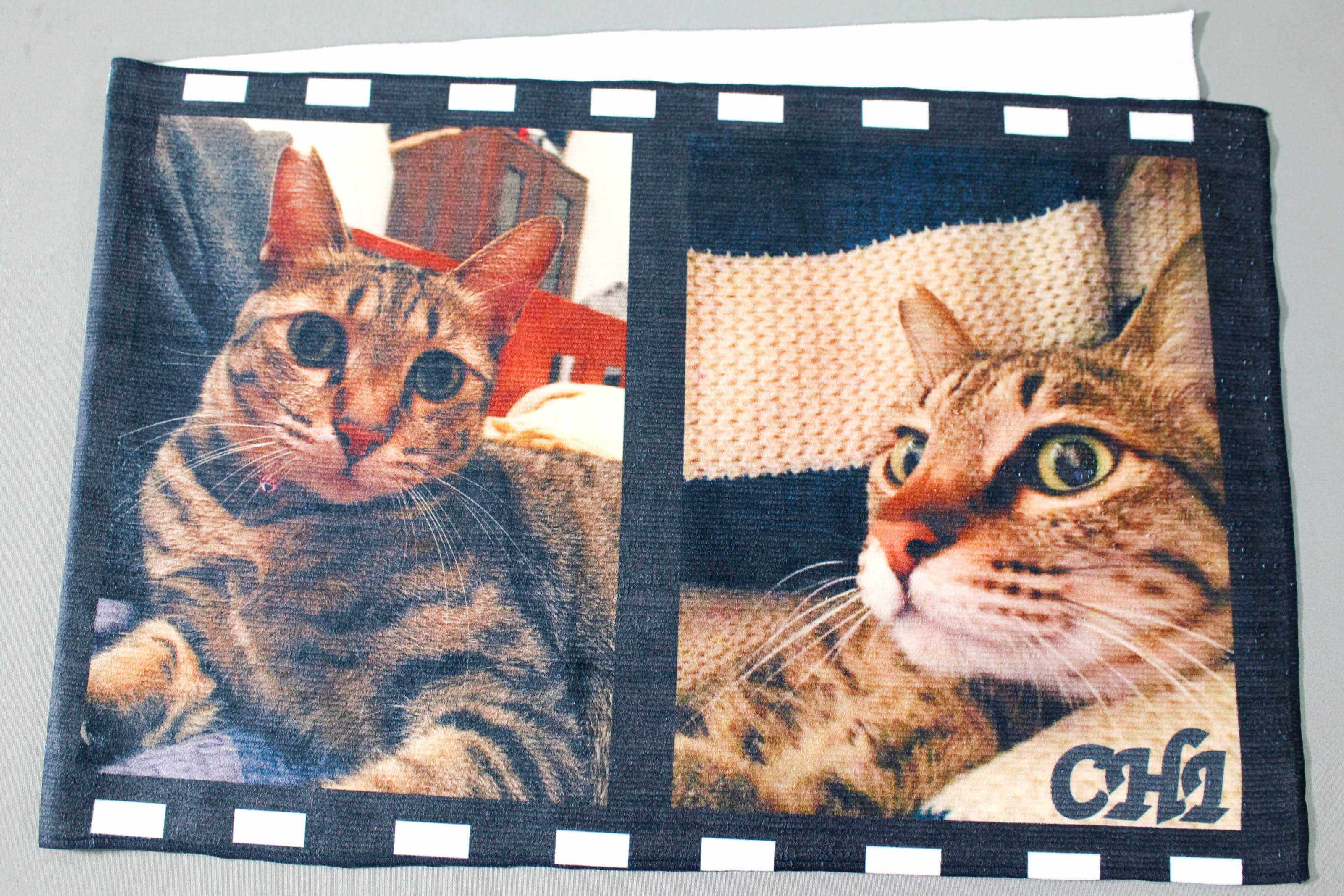 個人寵物 客製化毛巾2的第4張圖(客製化公司制服、班服製作、團體服製作等示意或作品圖)