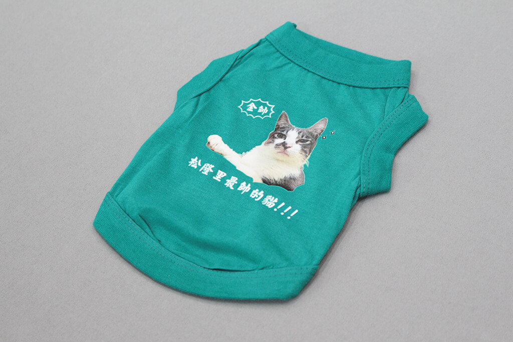 客製化寵物衣- 金帥貓咪 客製寵物衣的第2張圖(客製化公司制服、班服製作、團體服製作等示意或作品圖)
