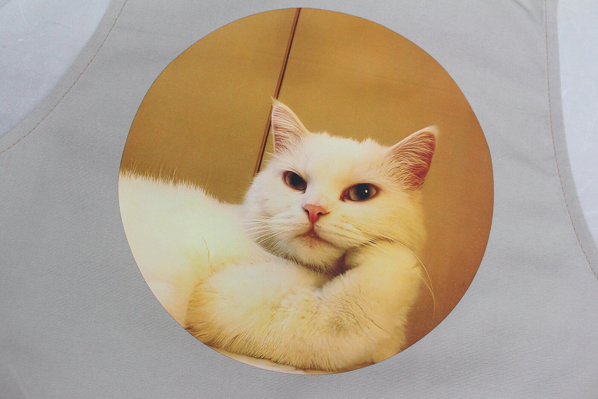 台東&nbsp;圍裙印製廠商的客製化案例圖片